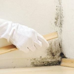 izower M 30 Küf ve Rutubet Önleyici Anti-Mould Paint